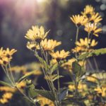 肥水不流别人田 iti94aoh19